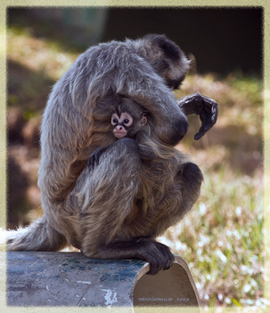mother and child image. Explore - Kostenloses image #281157